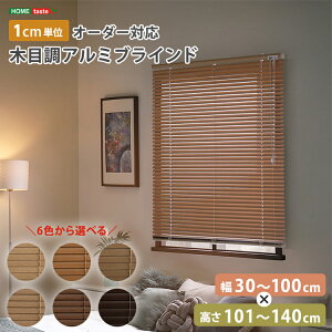 uCh A~ ډB uChJ[e ՔM blind A~uCh O J-e curtain k ؖ  I[_[ 1cm V I[V[Y ؖڒ 30`100cm×101`140cm I[