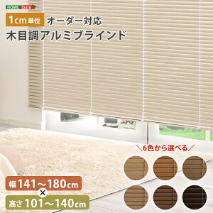 uCh A~ ډB uChJ[e ՔM blind A~uCh O J-e curtain k ؖ  I[_[ 1cm V I[V[Y 141`180cm×101`140cm I[V[