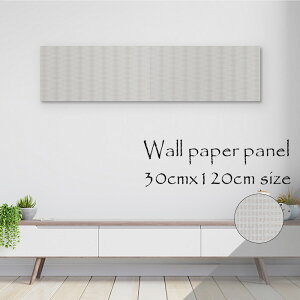 y10%OFF XԌ聦 11/5 18:00`11/16 23:59܂ŁIzǊ| CeA A[g ǎ  G A[gpl NX k   LL P  Vo[  zCg  V