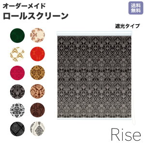 ロールスクリーン キットの人気商品 通販 価格比較 価格 Com