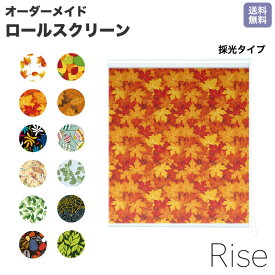 楽天市場 ロール スクリーン キットの通販