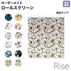 [XN[ Rise ̌ Aj} F u[ F CG[  CY I[_[ 1cmP Ԏd؂  ډB I Jt ] JLbg IV `F[   fUC p^