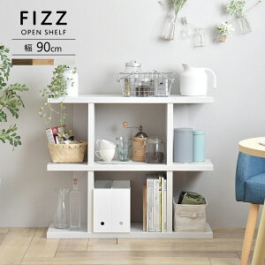 VFt fUCVFt I fBXvCbN rO[ 90cm 90 ؖڒ uE  F FIZZ tBY [^Cv Ԏd؂ p[e[V d؂  [  