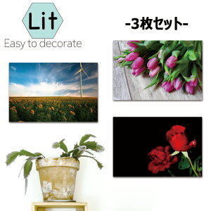 A[gpl _  CeA Ǌ|  o Ђ܂ 3  `[bv ATKI z  Jt ʐ^   _ VbN |bv POP R ӏ Y Of[V