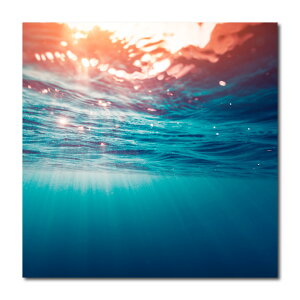 �A�[�g�p�l�� �C ������� �Ǌ|�� �n���C �r�[�` ���C�� �J���N�� surf �C�� �� cali �T�[�t �T���Z�b�g �J���N�� �[�� �l�� �T���Z�b�g �C�� �g �g��� �J���t�H���j�A �_�C�r���O �썑 ���R �t