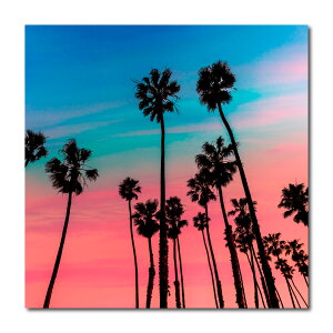 �A�[�g�p�l�� �C ������� �Ǌ|�� �n���C �r�[�` ���C�� �J���N�� surf �C�� �� cali �T�[�t �T���Z�b�g �J���N�� �[�� �l�� �T���Z�b�g �C�� �g �g��� �J���t�H���j�A �_�C�r���O �썑 ���R �t