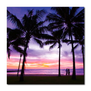 �_15%OFF���Ԍ���N�[�|���^�y 5/9�`5/17 �܂Łz�A�[�g�p�l�� ������� �Ǌ|�� �C �n���C �r�[�` ���C�� �J���N�� surf �C�� �� cali �T�[�t �T���Z�b�g �J���N�� �[�� �l�� �T���Z�b�g �C�� �g �g��