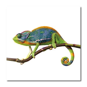 CeA G  A[gpl Ǌ|  ^ Ip[h Tt@ AtJ n lR L Aj} Lbg CI JI pT[ z[X nQ n ybg L TZ