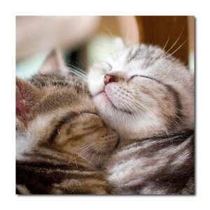 �C���e���A �G�� ������� �A�[�g�p�l�� �Ǌ|�� ���� �^ ���I�p�[�h �T�t�@�� �A�t���J �n �l�R �L �A�j�}�� �L���b�g ���C�I�� �J�����I�� �p���T�[ �z�[�X �n�Q ���n �y�b�g �L���� �T���Z