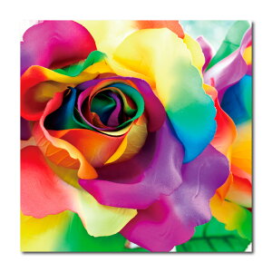 yubNtCf[ 10%OFF 11/20 20:00`11/27 01:59܂ŁIzA[gpl   Ǌ| o rose t[ [Y sN K[x ԑ Ԃт z KN ^g Jt N₩ _