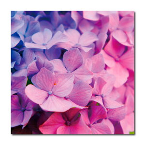 yubNtCf[ 10%OFF 11/20 20:00`11/27 01:59܂ŁIzA[gpl  Ǌ|  ̓ o rose t[ [Y sN K[x ԑ Ԃт z KN ^g Jt N