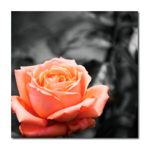 CeA G  A[gpl mg[  Ǌ|  sN[Y RgXg [Y ZsA ӂ낤 `[bv Â ]  NY Taxi ^NV[ ub_ C