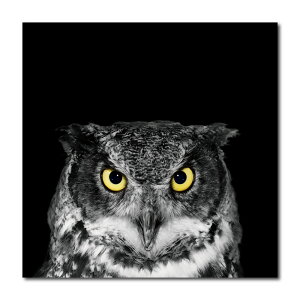 y10%OFF XԌ聦 10/25 00:00`10/30 23:59܂ŁIzCeA G  A[gpl mg[ Ǌ|  sN[Y RgXg [Y ZsA ӂ낤 `[bv Â