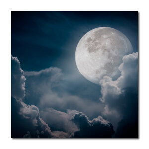 CeA G  A[gpl Ǌ| MNV[ F  Q Xy[X V   ~L[EFC zn j@[X n R y ؐ  iF moon V  z 