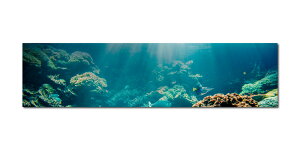 CeA G  A[gpl C Ǌ| C V̖ V Jt Y   R ʂ F i gsJ T}[  J t@ubNpl Lindo Chico ` 30cm × 120cm 