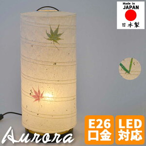 aƖ e[uCg aurora I[ Z肷a ݂   ~^ _uC 񓔃fUC ؐ aƖ ԐڏƖ  Cg a_ CeAƖ 