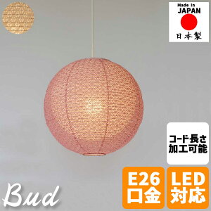 aƖ y_gCg bud oh 35cm d a_ fUCƖ   aƖ 񓔃Cg VƖ 1 rO _CjO Q  a Ɩ CeACg