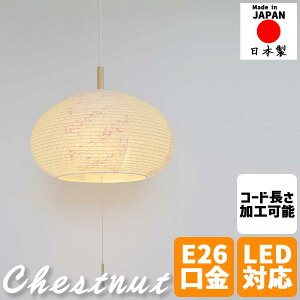 aƖ y_gCg chestnut `FXgibg 2 I^ 킢 ԂsN×~ aVF[h 27cm ^ VƖ a_ _ a Q rO _CjO Hp  