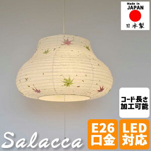 aƖ y_gCg salacca TN 2 V̎ aVF[h  a_ rO _CjO VƖ a Q  JtF  CeAƖ av { 