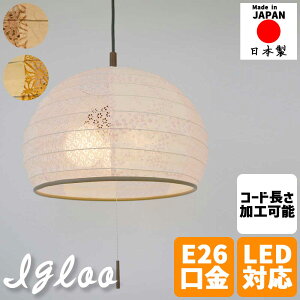 aƖ y_gCg igloo CO[ 3^Cv 񓔌^ h[^ aVF[h VƖ 8Ή vXCb` LEDΉ Ɩ rO a _CjO Q a_  