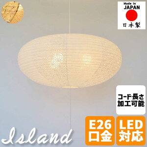 aƖ y_gCg island ACh 4^Cv Z肷a { t͗l tJ cCoii vXCb` LEDΉ VƖ 10Ή rO a _CjO Ɩ 