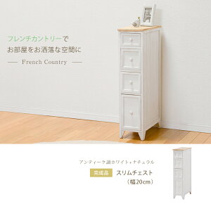 `FXg 4i  AeB[Ni` X i i` AeB[N Ԏ[ t`Jg[ l킢 [ k  _ fUC eCXg X^C