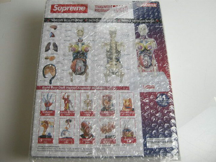 楽天市場】【2018AW Supreme/シュプリーム/Female Anatomy Model 女性 