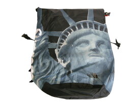 2019AW/Supreme/シュプリーム/THE NORTH FACE Statue of Liberty Waterproof Backpack/ノースフェイス リバティー バックパック/リュックサック/自由の女神/19FW/19AW/2019FW/秋冬/メンズ/レディース/ブラック/黒