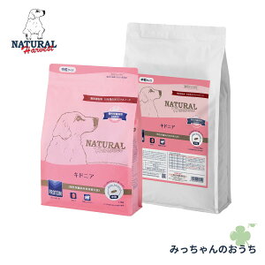 _yVC[OXӍ × |CgAbv^ i`n[xXg LhjA tPApHÖ@H ^pN ჊ igE