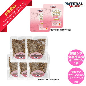 _yVC[OXӍ × |CgAbv^ i`n[xXg LhjA ₳͂ tPApHÖ@H X[pbN@p