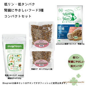 _yVC[OXӍ × |CgAbv^ p tɂ₳ hCt[h ჊ ^pN 3RpNgZbg