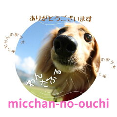 みっちゃんのおうち 腎臓 おやつ