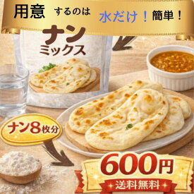 ナンミックス 水だけ 簡単 手作り 約8枚分 カレー インスタントドライイースト 付き