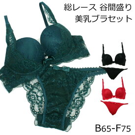 [ポイント5倍][B65～F75]総レース 美乳ブラジャー ショーツ セット ブラセット 総レースデザインの谷間盛りブラ 小胸 盛れる 見せブラ バストアップ 盛る 女性 大きいサイズ 下着