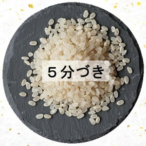 yubNtCf[艿iz V ߘa7NY { {錧Y ЂƂ߂ڂ 5kg  5 7 (Ďdʖ14.5kg) y qg{  ͂   Yn ď 