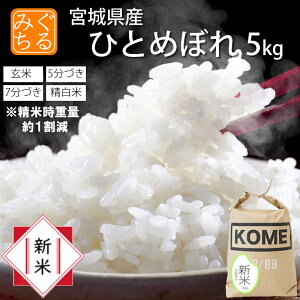 V ߘa7NY { {錧Y ЂƂ߂ڂ 5kg  5 7 (Ďdʖ14.5kg) y qg{  ͂   Yn ď    z