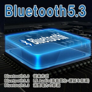 wbhz wbhtH Bluetooth5.3 u[gD[X L  }CN  ܂ CX P[uE Cz switch q Hi-Fi XCb` Ή ^ }CNt SDJ[h ubN 