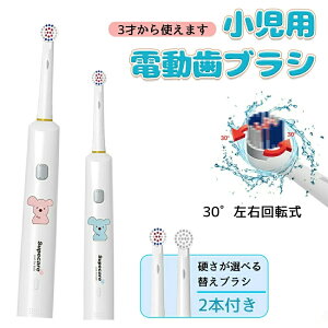 duV qp ] d uV { ւuV uV dnuV _炩  oPA C Ώ q qp LbY qǂ  ݂͂ h  