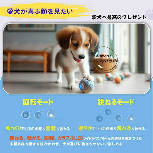  {[  œ d   ߋ  EBLbh {[ ] lC ybg v[g LEDCg V @B m ^Kp ^ ^s XgX