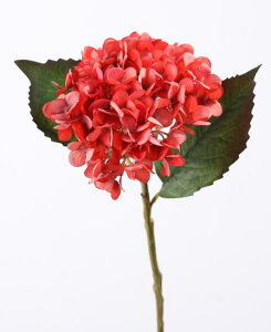 u[AWTC - 5{ AȃVO18.15C`̃OXetFCNVNAWTCu[P p[eB[ EFfBO Z^[s[X z[ItBX