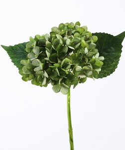 u[AWTC - 5{ AȃVO18.15C`̃OXetFCNVNAWTCu[P p[eB[ EFfBO Z^[s[X z[ItBX