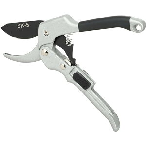 ͙΂ 3{̏ȗ SK-5|n΂ ؂ꖡQoT~ ϋv̂鉀| ̖ ʎ ~͙蓹 |Ƃ̙ }؂΂ SbNt