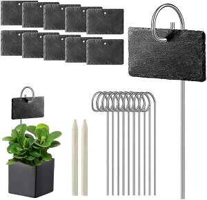 |x 10{Zbg Ax  l[v[g T^ 10cm×7cm×0.5cm K[fjO  Ԓd |p t[ ԉ A ~  `[Nt