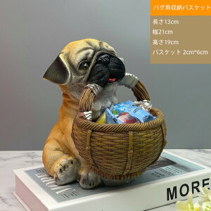  [ oXPbg ~j   킢  u  rO  CeA v ANZT[ [ {bNX z_[