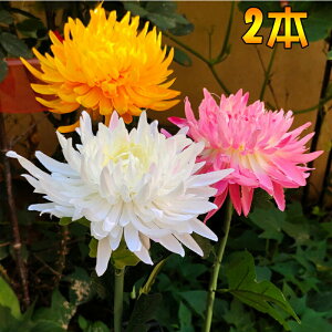 \[[Cg   O ߍݎ h gFn LED K[f Ԏ_ zd 铔 Őv  Ki  ԏ  Ő |