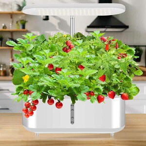 k͔|Lbg  ͔|Lbg  k͔|Zbg ؍͔|Zbg ƒpk͔| zVXe É A琬LEDCg10؍͔|\ ߉\ 3.6Leʐ