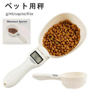 fW^ ͂ vʃXv[ Xv[^ vʊ fW^vʊ fW^ ybgt[hv v fW^\  L Xv[XP[ ybg O\ 􂢉\ q  _CG