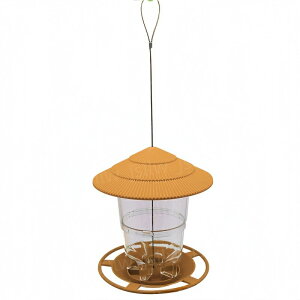 ̉a a a 3F o[htB[_[ ܂肽 a  쒹̉a a  a GT ybgObY Lk 쒹ώ@ o[hEHb`O ݂艺 O oRj[  