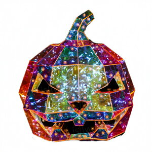 ڂ჉^ vYpvL J{` ڂ჉Cg nEB pvLCg vY I[ig u C~l[V  d halloween Xܑ 