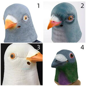 }XN 4^Cv }XN }jARXv}XN nEB[p[eB[}XN RXv }XN  ϑ  Ԃ CxgpiACe Ղ w